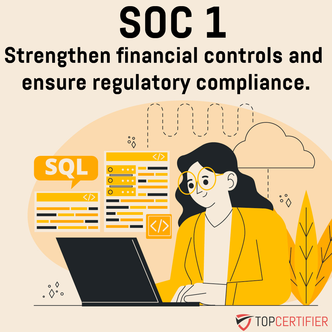 soc 1 in Newzealand